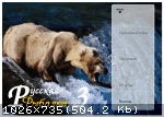 Русская Рыбалка 3: Bear Edition (2013) (RePack от Alpine) PC