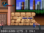 Double Dragon: Trilogy (2015/Лицензия) PC