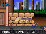 Double Dragon: Trilogy (2015/Лицензия) PC