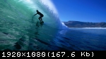 Компания Climax Studios работает над серферской аркадой Surf World Series