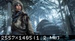 Rise of the Tomb Raider: 20 Year Celebration (2016) (RePack от R.G. Механики) PC