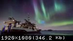 Fishing: Barents Sea (2018) (RePack от qoob) PC