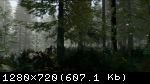 The Forest (2018/Лицензия) PC