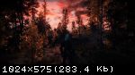 The Witcher 3: Wild Hunt получило улучшение связанное с картинкой в игре