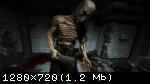 Outlast (2013/Лицензия) PC